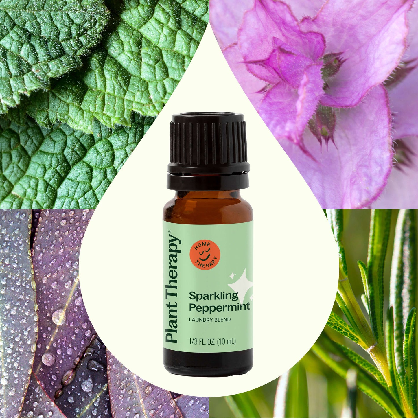 Plant Therapy - Sparkling Peppermint Laundry Essential Oil Blend