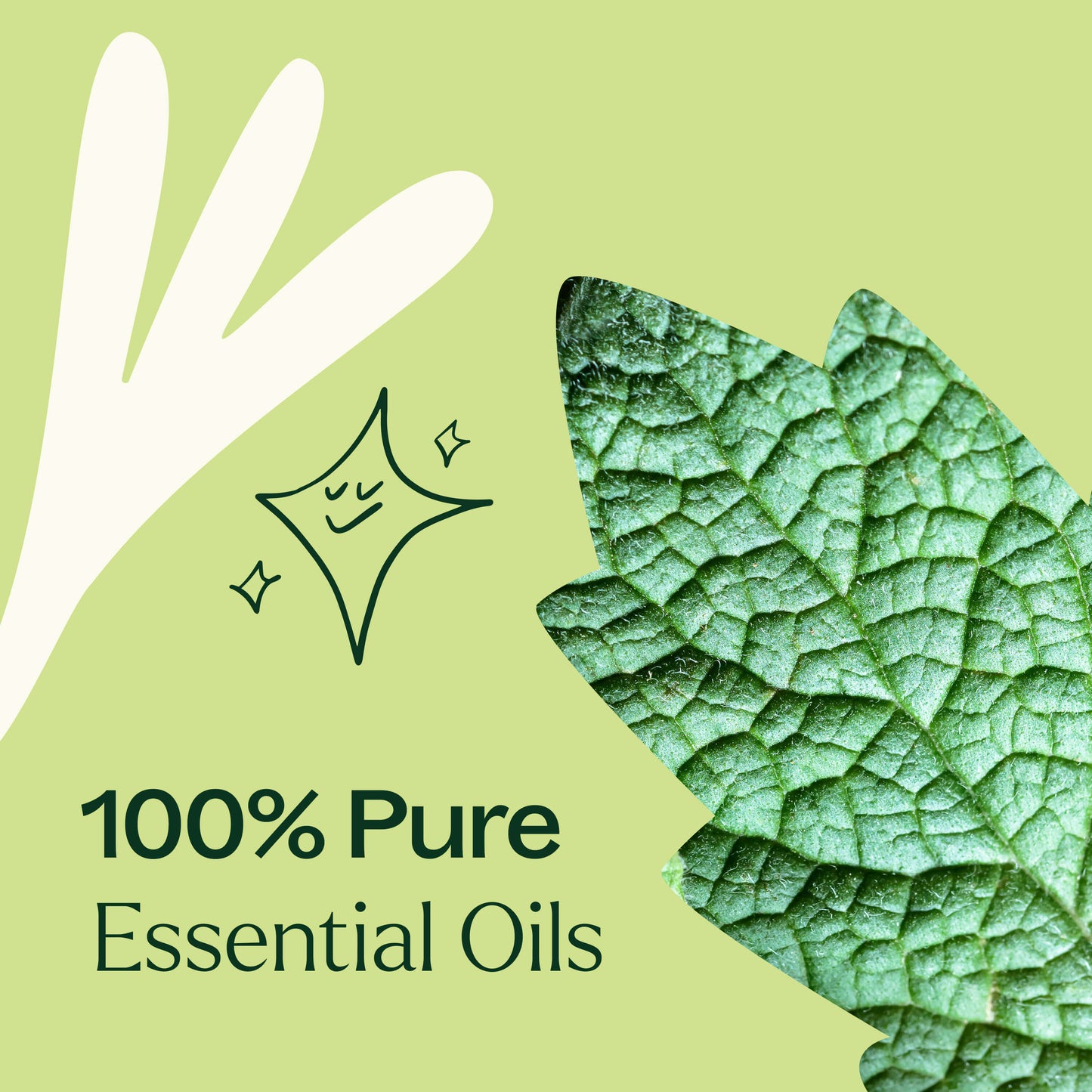 Plant Therapy - Sparkling Peppermint Laundry Essential Oil Blend