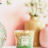 Baobab Collection - Candle My First Baobab Tomorrowland - Lily of the valley-Moss-Pear - MAX08 - Tarvos Boutique