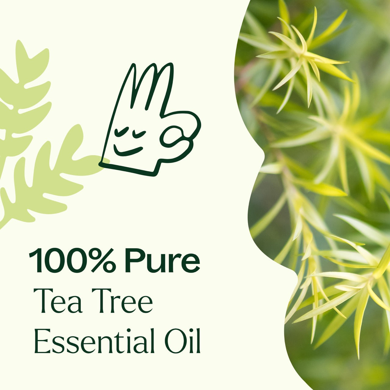 Plant Therapy - Tea Tree Essential Oil