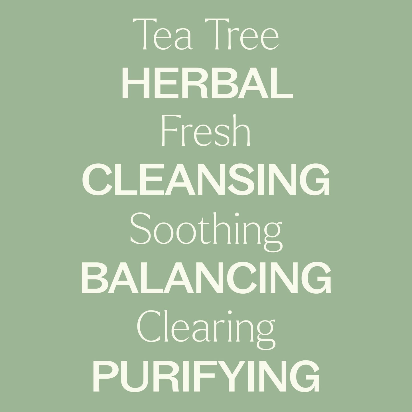 Plant Therapy - Tea Tree Hydrosol