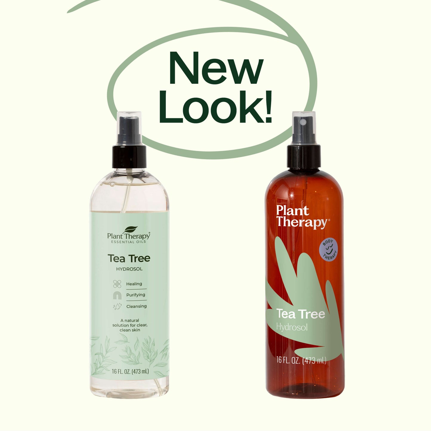 Plant Therapy - Tea Tree Hydrosol