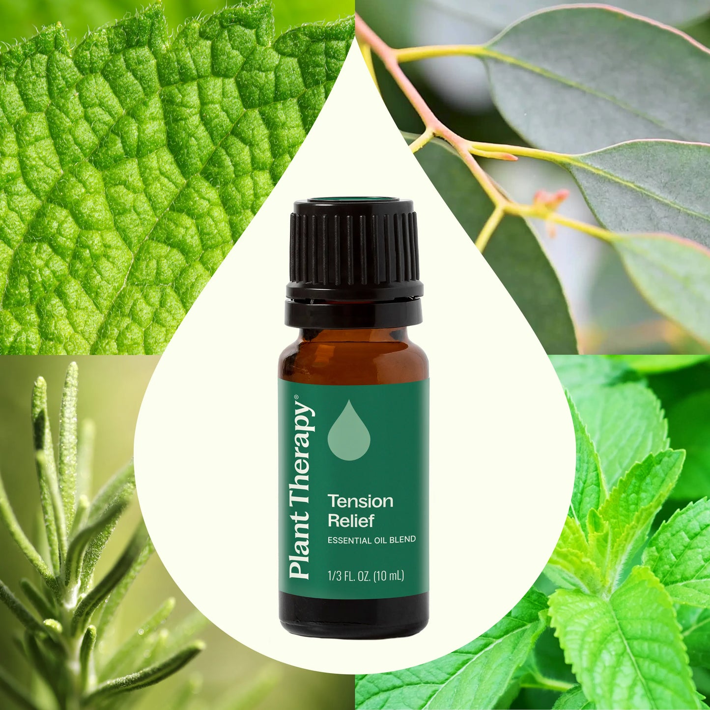 Plant Therapy - Tension Relief Essential Oil Blend