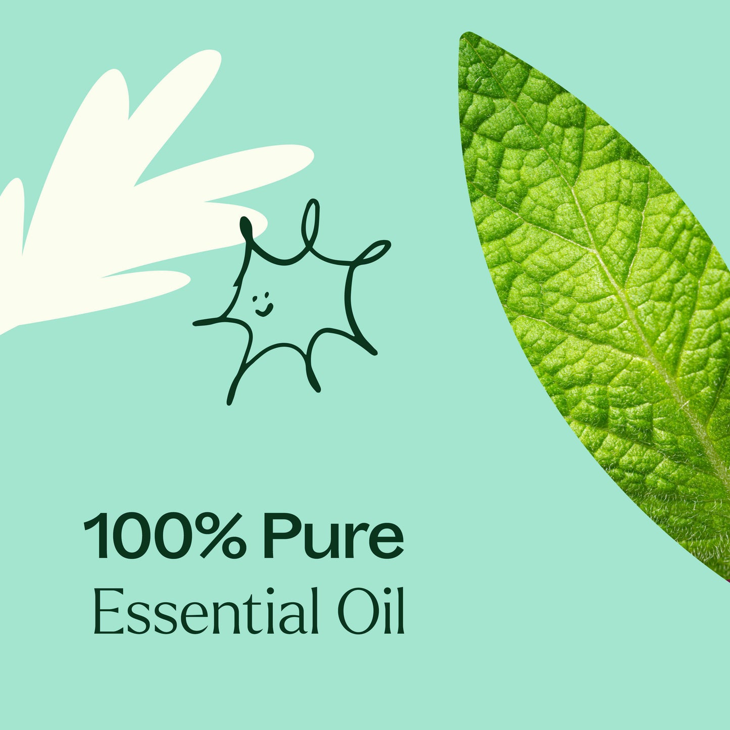 Plant Therapy - Tension Relief Essential Oil Blend