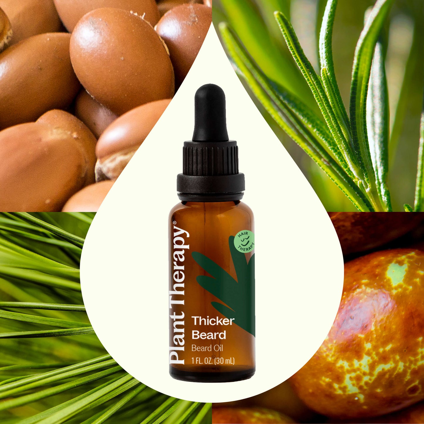 Plant Therapy - Hair Therapy Thicker Beard - Beard Oil
