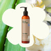 Plant Therapy - Vanilla Body Lotion with Aloe and Shea