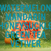 Shay & Blue - Watermelons Fragrance 3.4oz