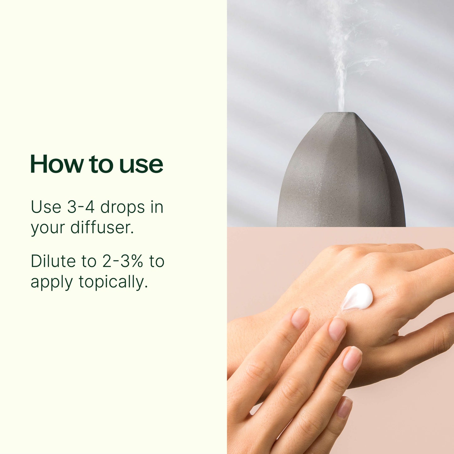 Plant Therapy - Worry Free Essential Oil Blend