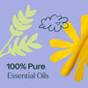 Plant Therapy - Worry Free Essential Oil Blend