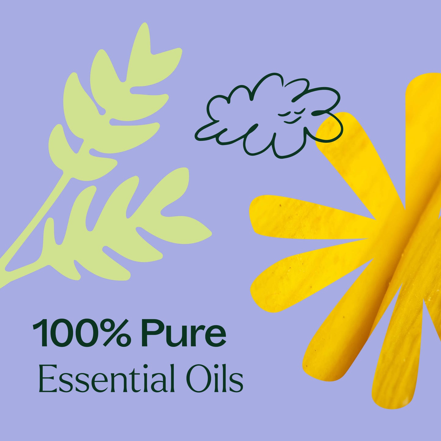 Plant Therapy - Worry Free Essential Oil Blend