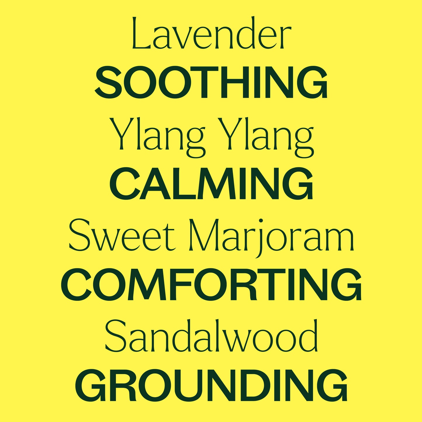 Plant Therapy - Worry Free Essential Oil Blend