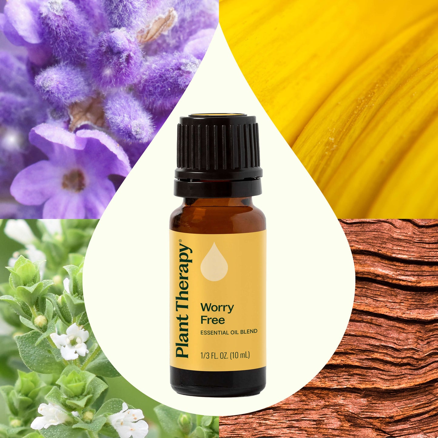 Plant Therapy - Worry Free Essential Oil Blend