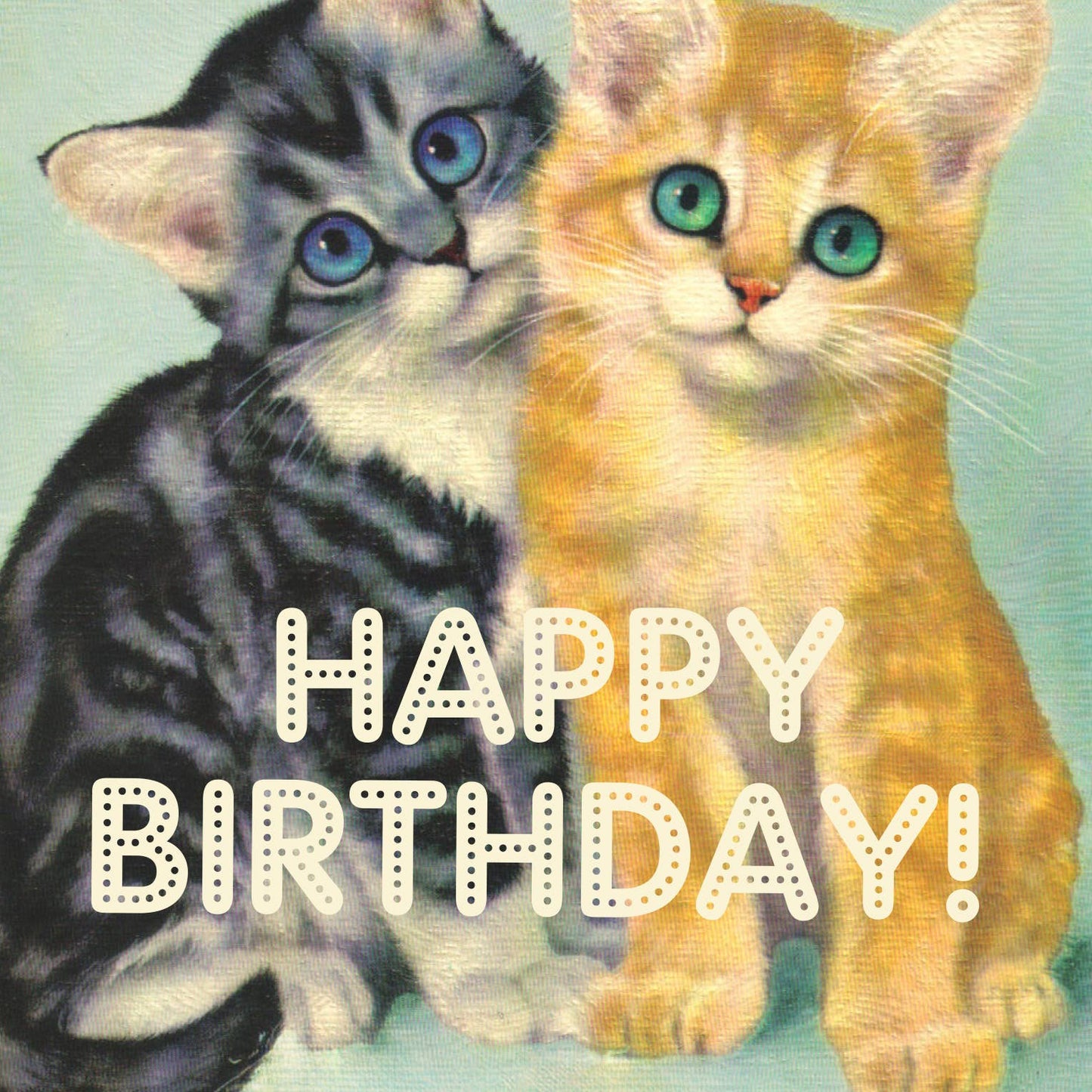 OffensiveDelightful - ASSHOLE CATS birthday card