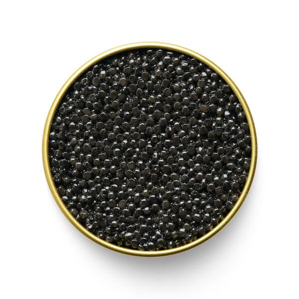 Luxury MARKY'S BELUGA Hybrid Caviar - Order Now - Tarvos Boutique