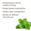 Plant Therapy - Bergamot Mint Essential Oil