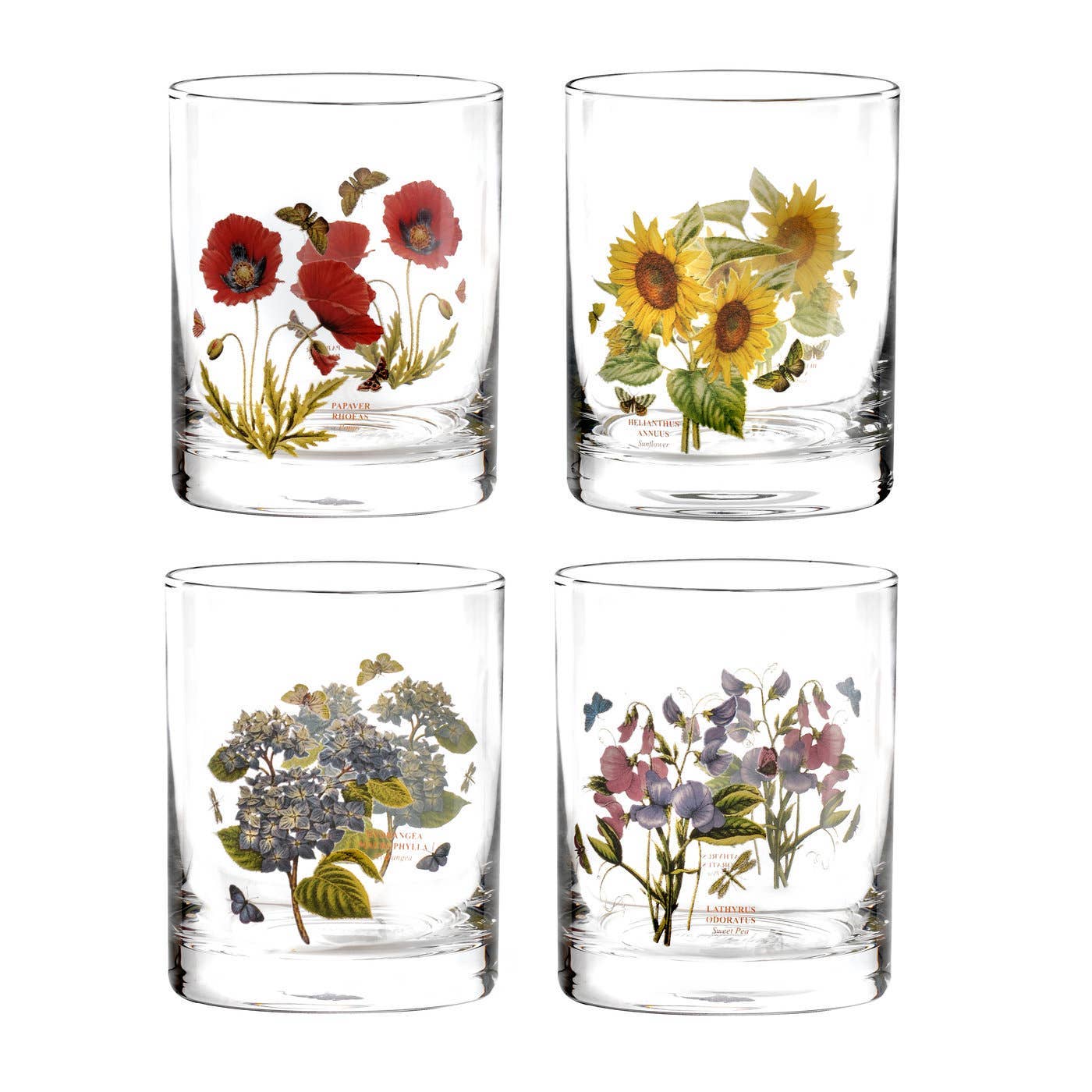 Portmeirion - Botanic Garden Set of 4 Double Old Fashioned Glasses: Glass / Botanic Garden