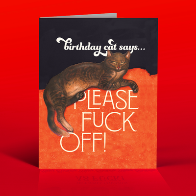 OffensiveDelightful - BIRTHDAY CAT! birthday card