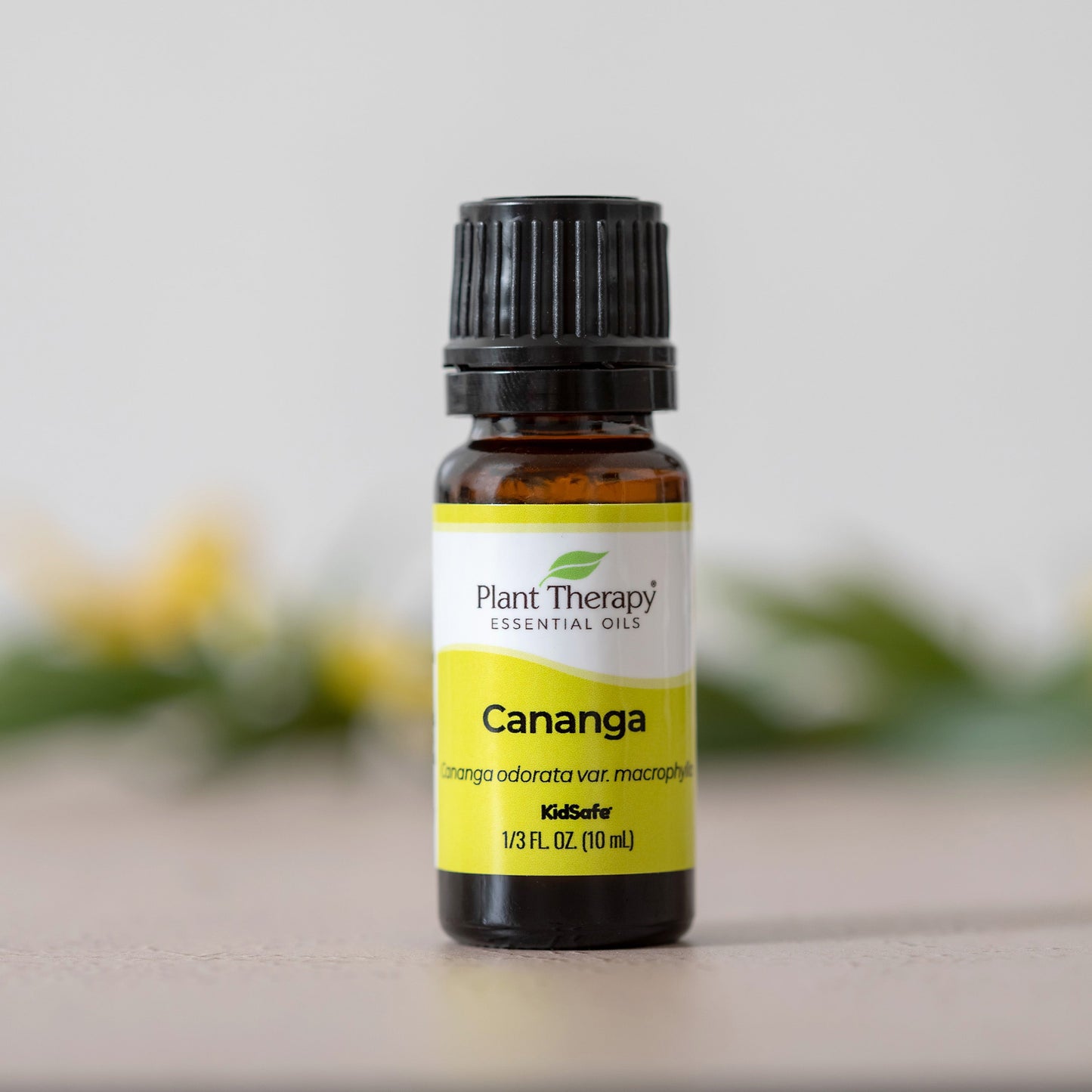 Plant Therapy - Cananga Essential Oil