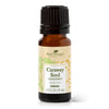 Plant Therapy - Caraway Seed CO2 Extract