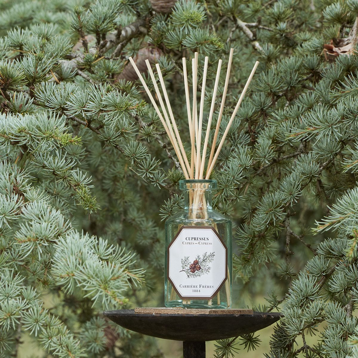 Carrière Frères - Cypress Diffuser