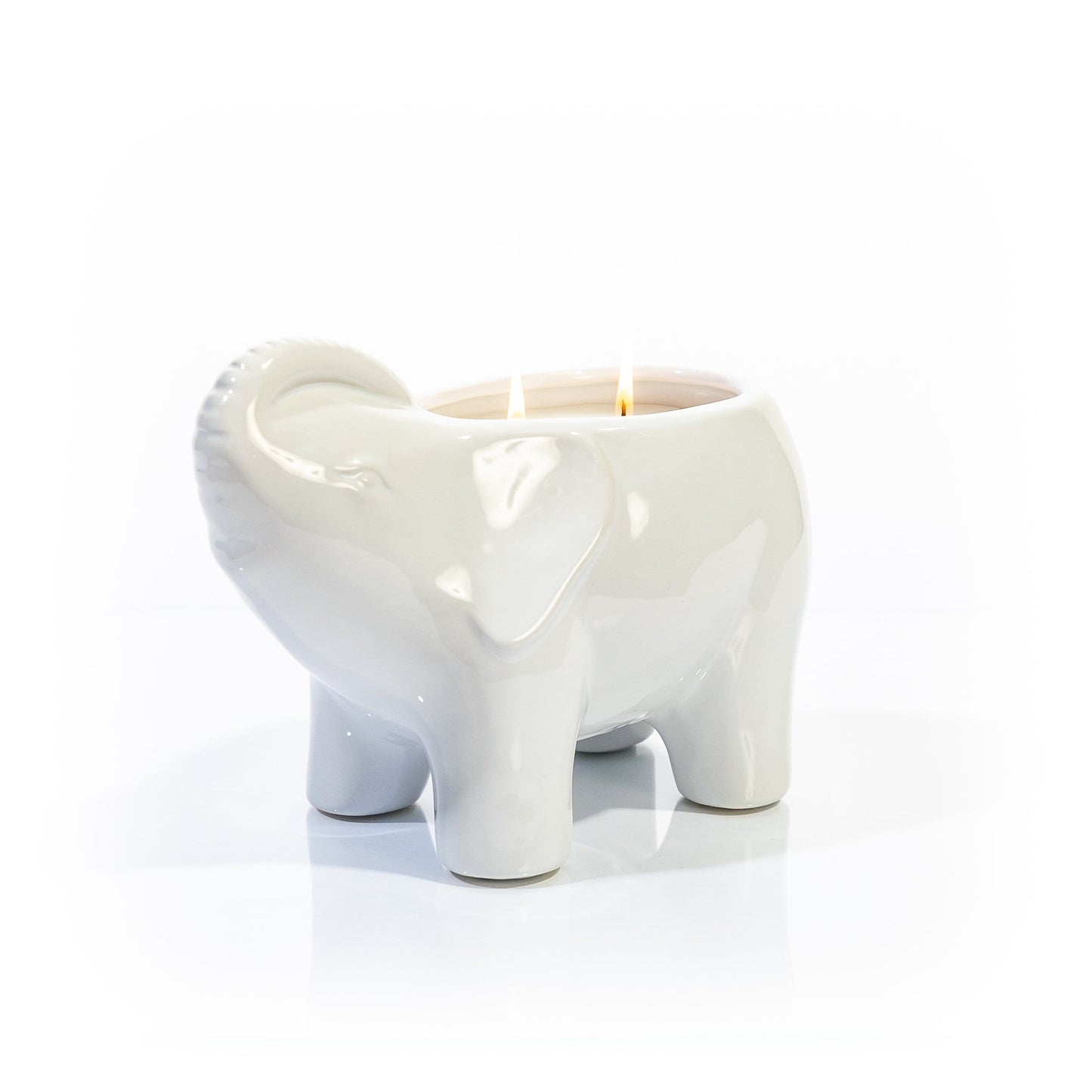 Thompson Ferrier - White Elephant Candle