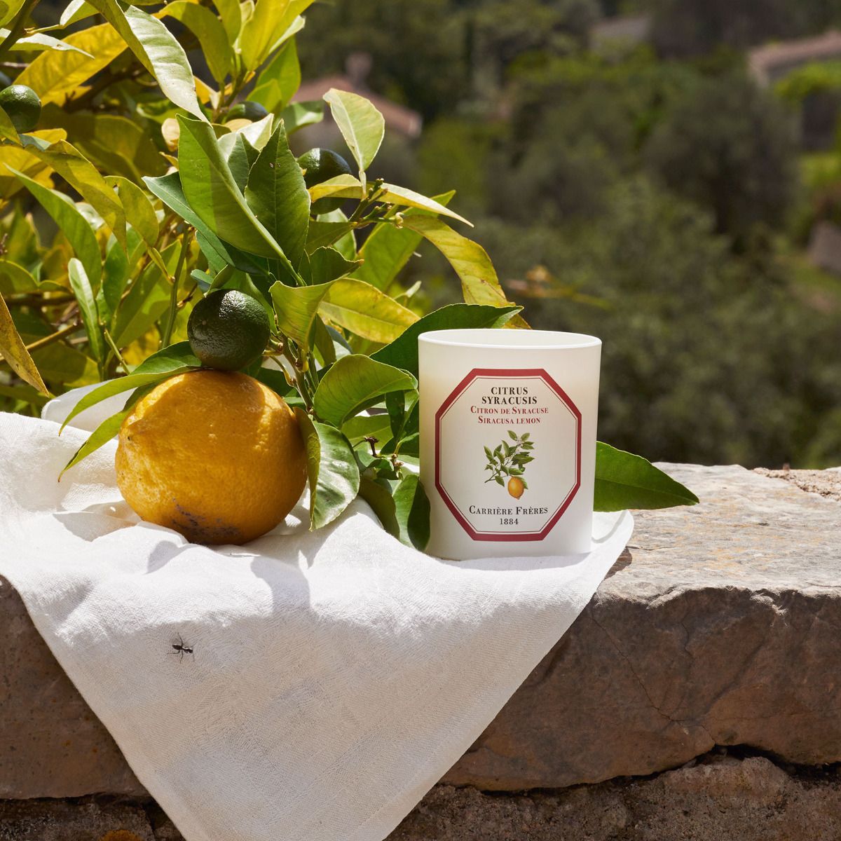 Carrière Frères - Citrus Syracusis - Siracusa Lemon Candle 6.5 oz