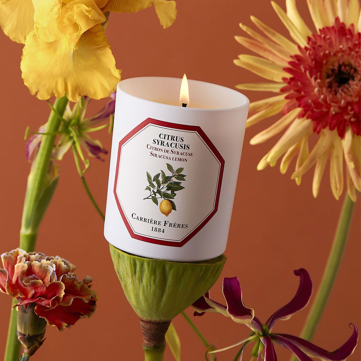 Carrière Frères - Citrus Syracusis - Siracusa Lemon Candle 6.5 oz