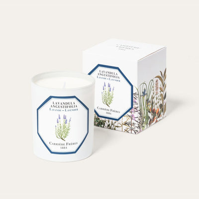 Carrière Frères - Lavandula Angustifolia - Lavender Candle