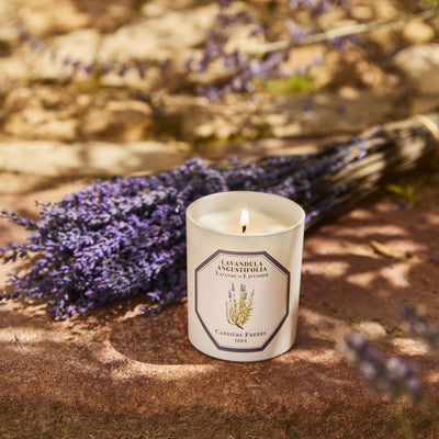 Carrière Frères - Lavandula Angustifolia - Lavender Candle