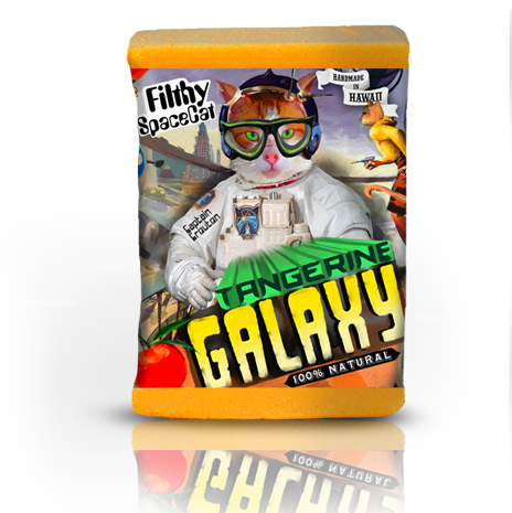 Filthy Farmgirl - Filthy Spacecat Soap: Large