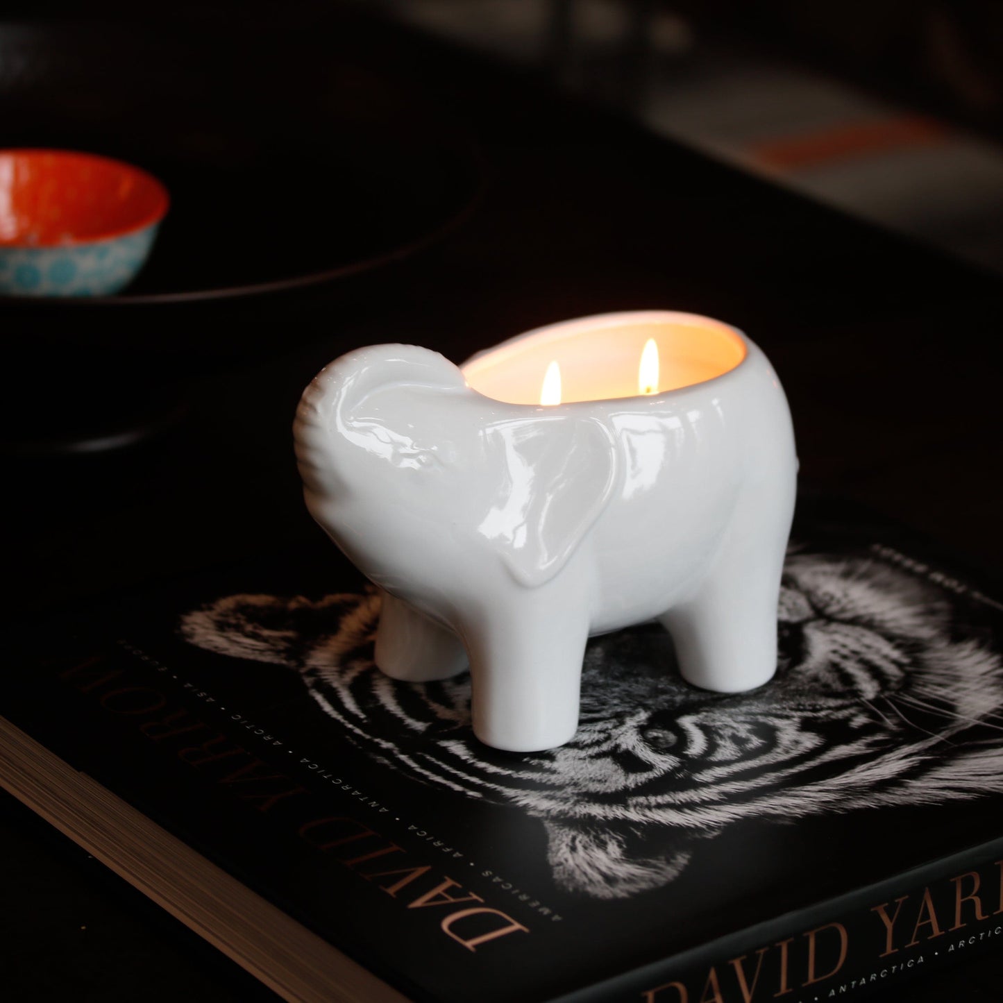Thompson Ferrier - White Elephant Candle