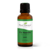 Plant Therapy - Fir Needle Essential Oil