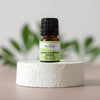 Plant Therapy - Jasmine Grandiflorum Absolute