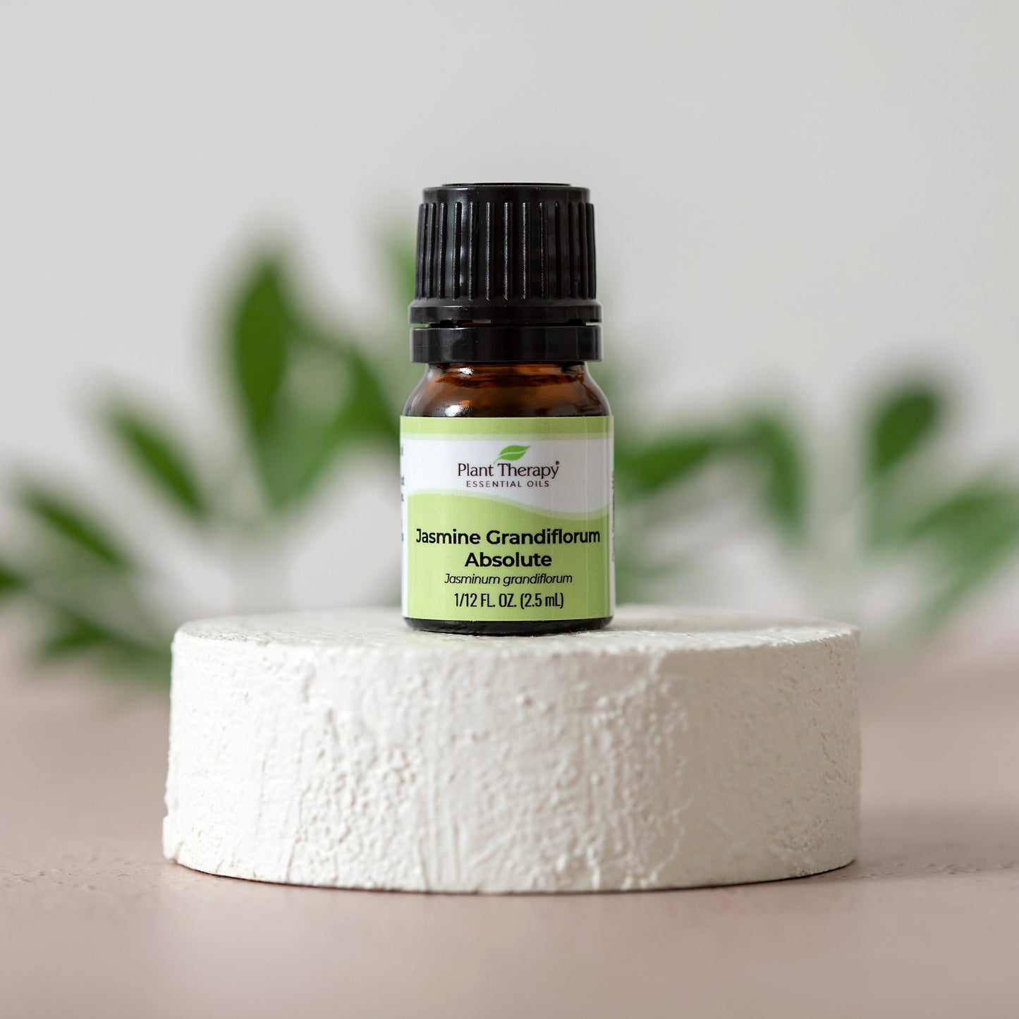 Plant Therapy - Jasmine Grandiflorum Absolute