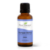 Plant Therapy - Juniper Berry Essential Oil