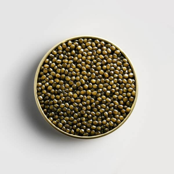 Buy MARKY'S AURETA Golden Osetra Caviar Online - Tarvos Boutique