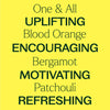Plant Therapy - One & All Pre-Diluted Essential Oil Roll-On Blend 10 mL