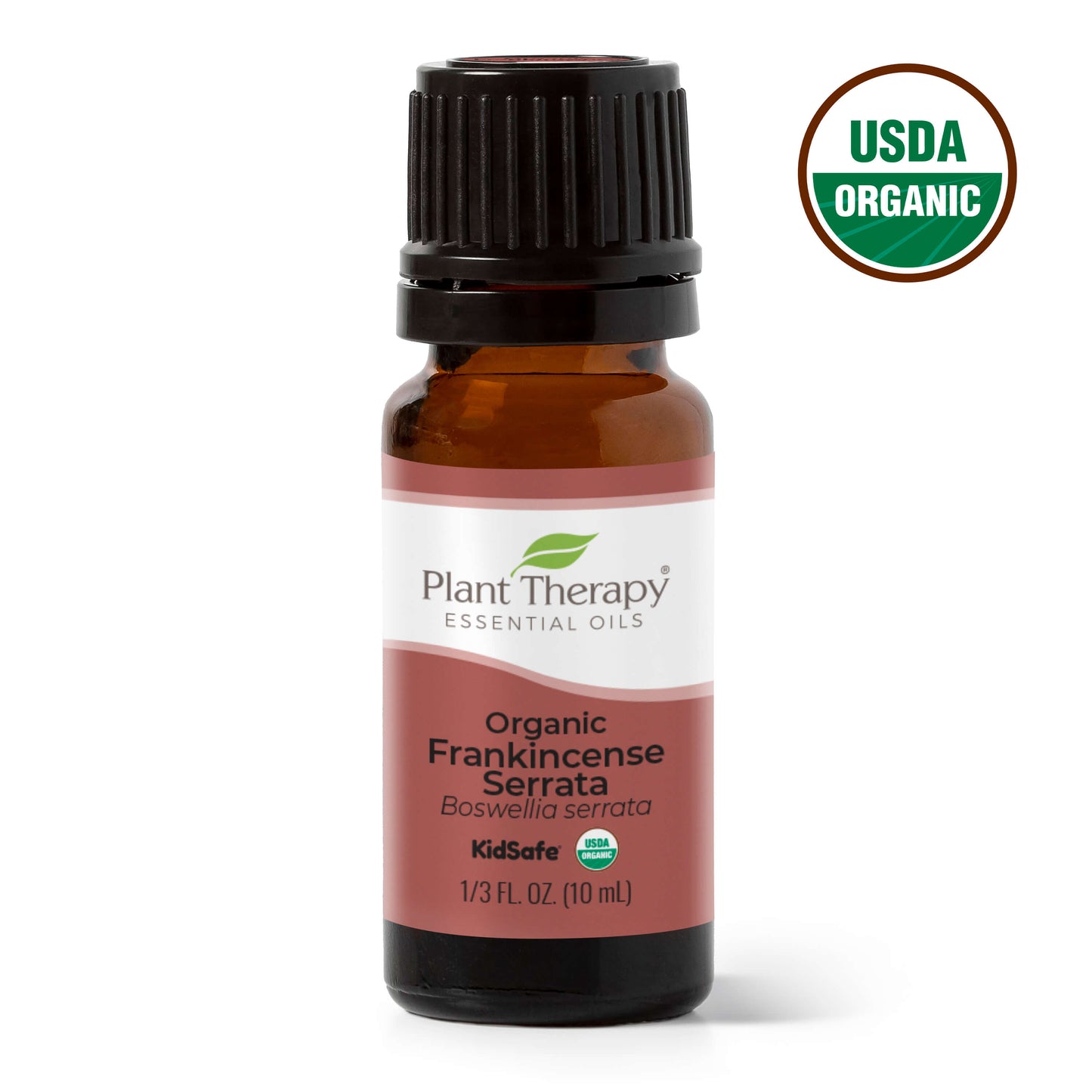 Plant Therapy - Organic Frankincense Serrata Essential Oil