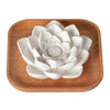Plant Therapy - Passive Lotus Diffuser
