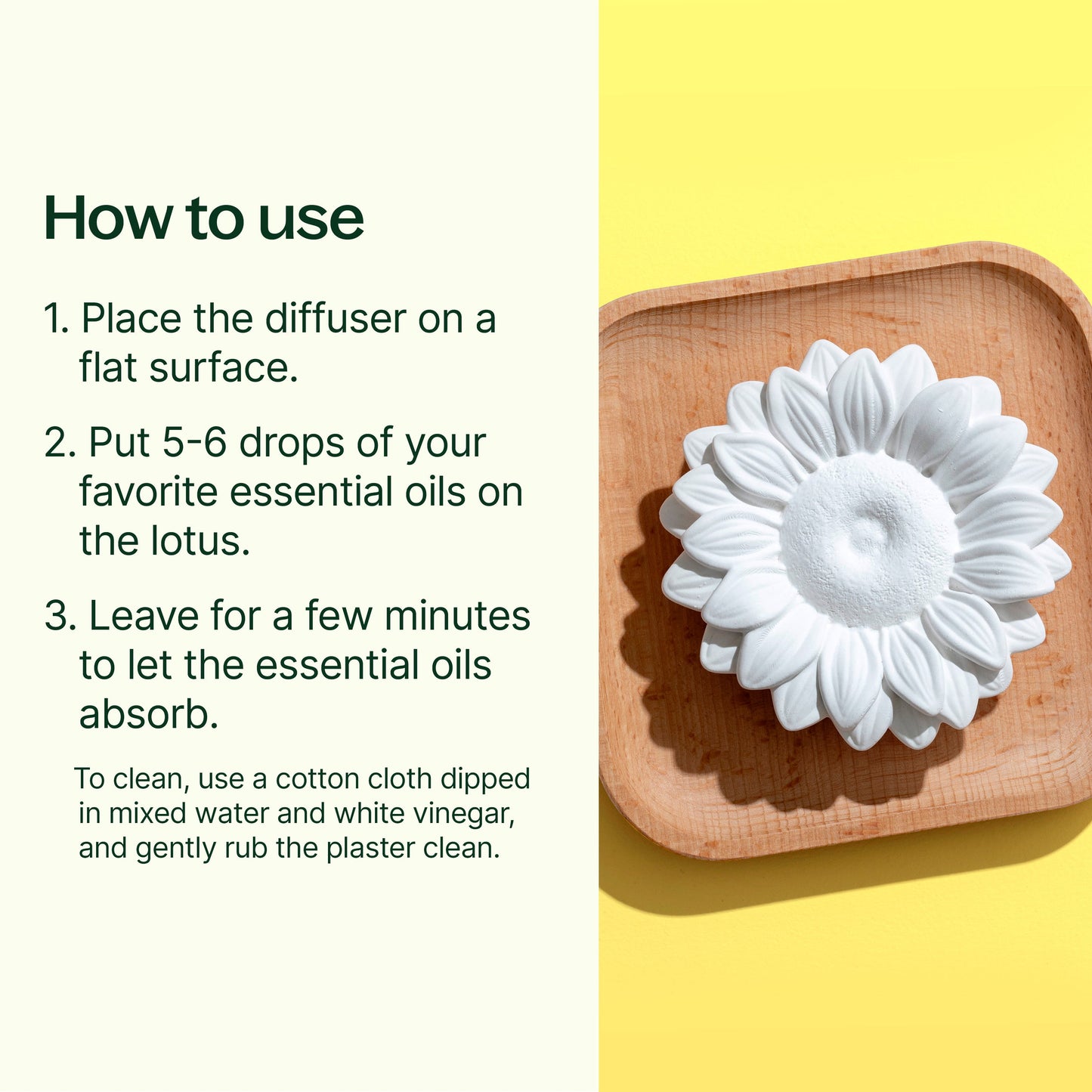 Plant Therapy - Passive Sunflower Diffuser