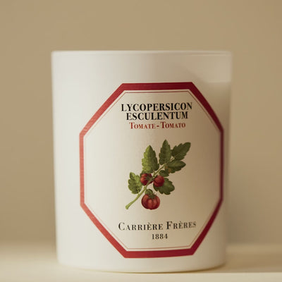 Carrière Frères - Lycopersicon Esculentum - Tomato Candle 6.5 oz