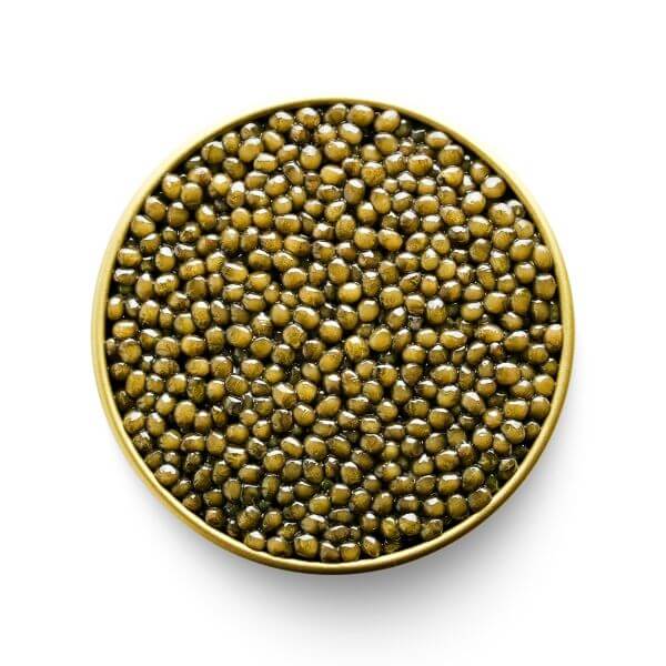 Exclusive MARKY'S OSETRA KARAT GOLD Caviar | Buy Now - Tarvos Boutique