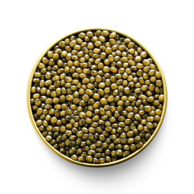 Marky's Osetra Imperial Gold Caviar | Exclusive Stock - Tarvos Boutique