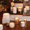 THYMES - Frasier Fir Gilded 13 oz Poured Candle