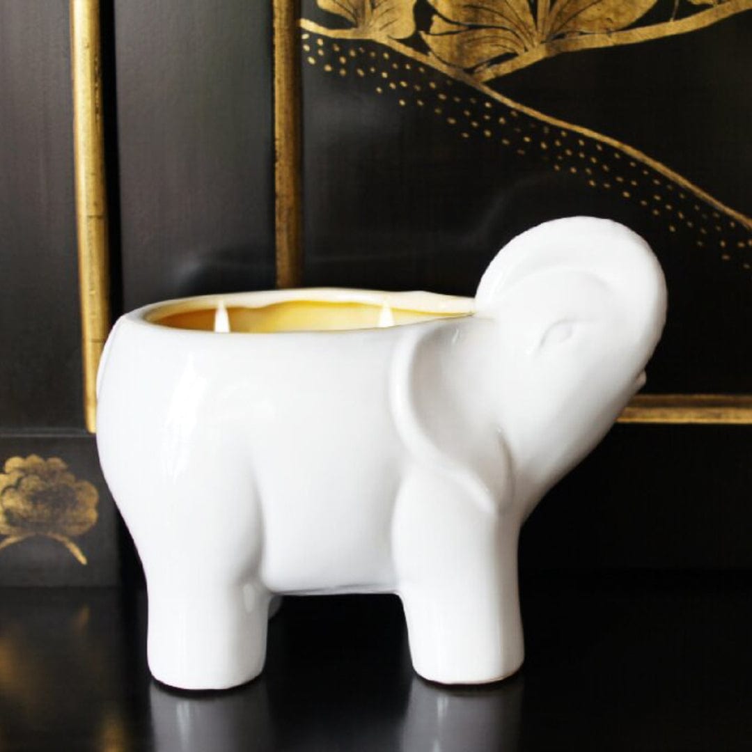 Thompson Ferrier - White Elephant Candle